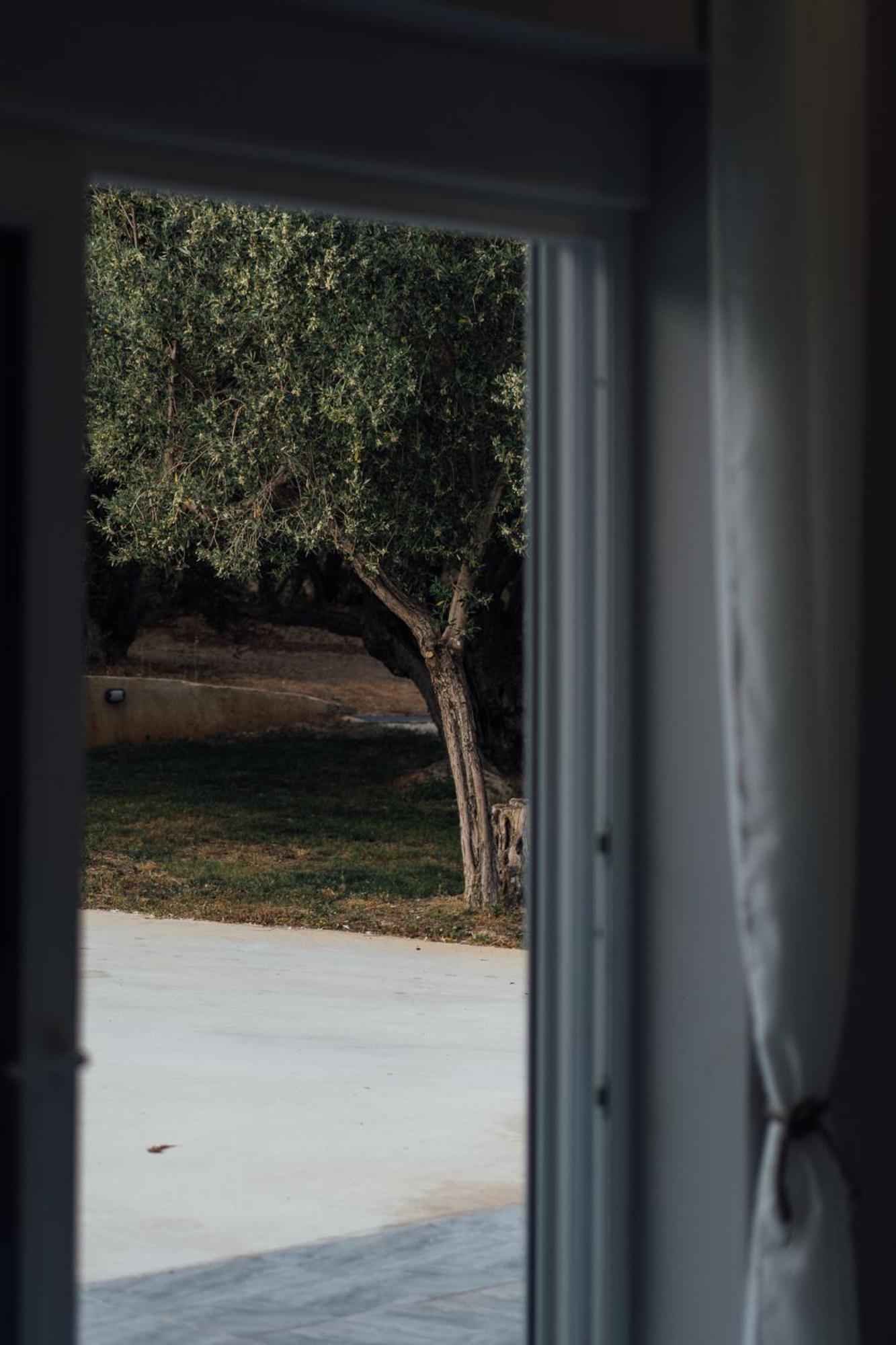 Blue Waves Luxury Suites By The Sea Plomari Buitenkant foto